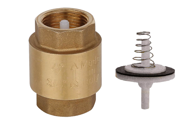 Check Valve