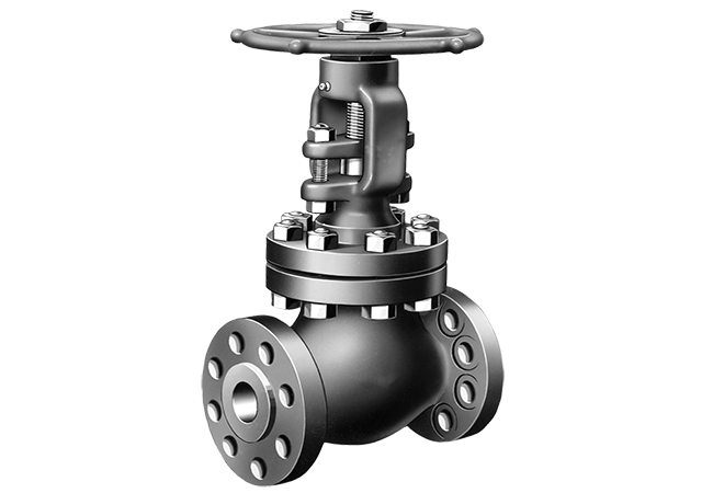 Globe Valve